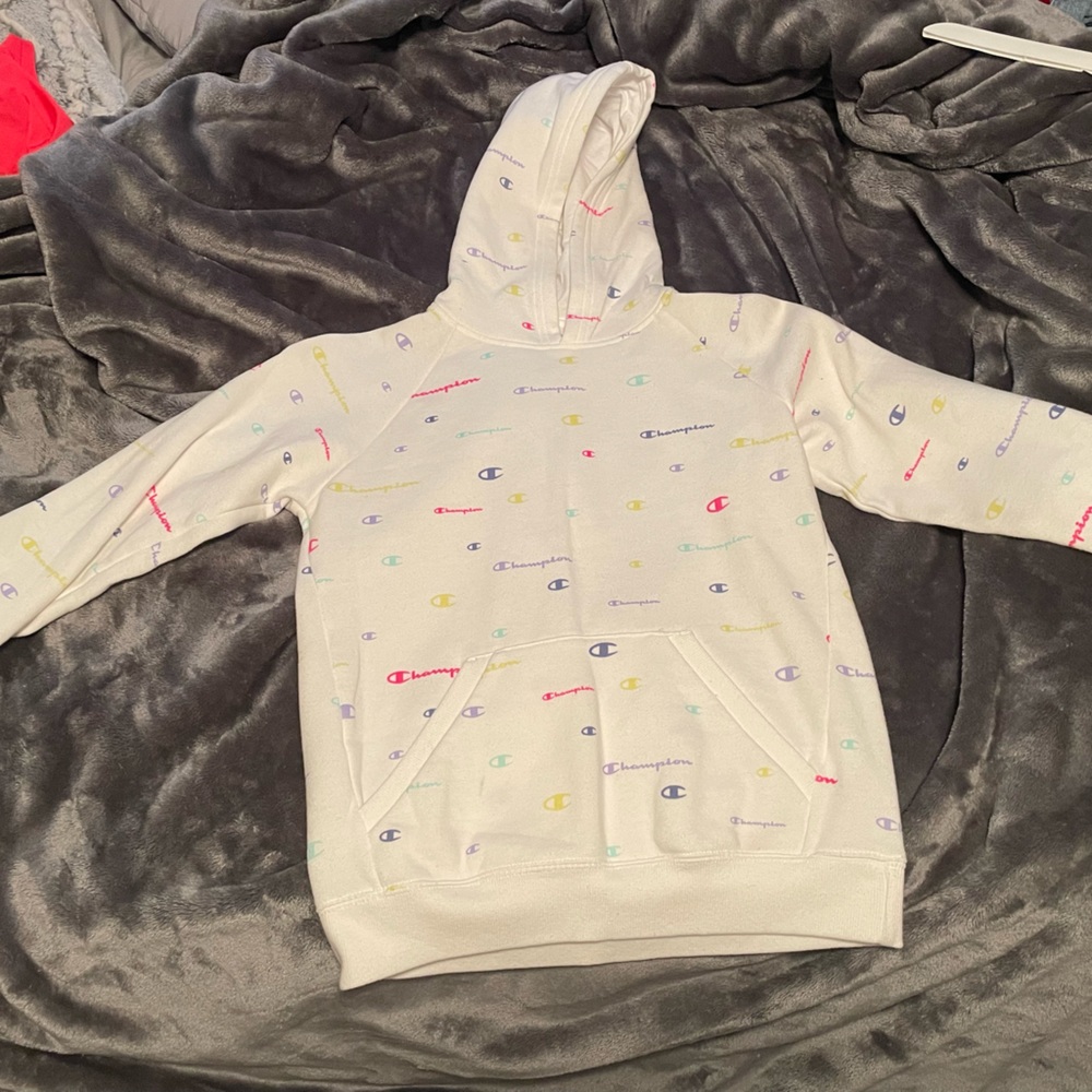 Champion Hoodie with rainbow words